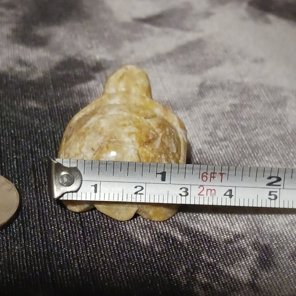 Crystal Turtle - Picture 8 of 8
